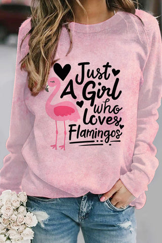 Just A Girl Who Loves Flamingos Sweatshirt